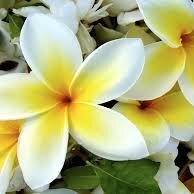 simple ideas to help you relax, look beautiful, and radiate positive energy