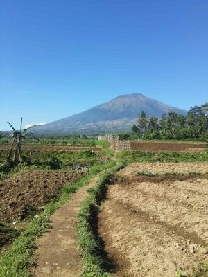 full original kota parak
hangout;  infoparakan@gmail.com