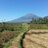info_parakan's profile image