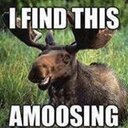 nathaniel hoskins - @nathan39366113 - Twitter