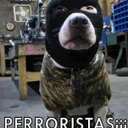 gino miranda ureta - @GhinoAdri - Twitter