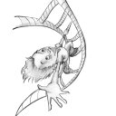 Annie Winston - @AnnieWinston14 - Twitter