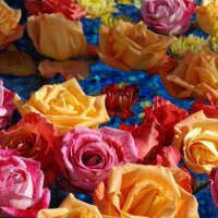 BACA (@dcbaca) 's Twitter Profile