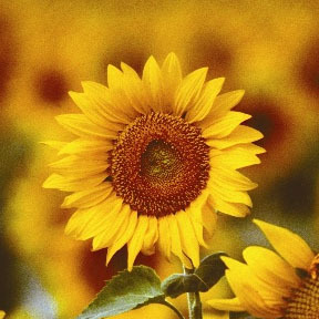 HighPlainsArts's profile picture. High Plains Register is an annual, student-produced arts publication of Laramie County Community College in Cheyenne, Wyoming.