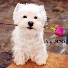 esmera19's profile picture. 