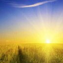 Barb Campbell - @barbQsoup - Twitter