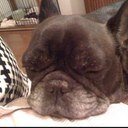 nikumiso's profile picture. アイコン的な生活からの脱却。喧騒の片隅で小さく生きる。