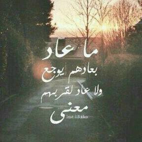 salwasam287's profile picture. 