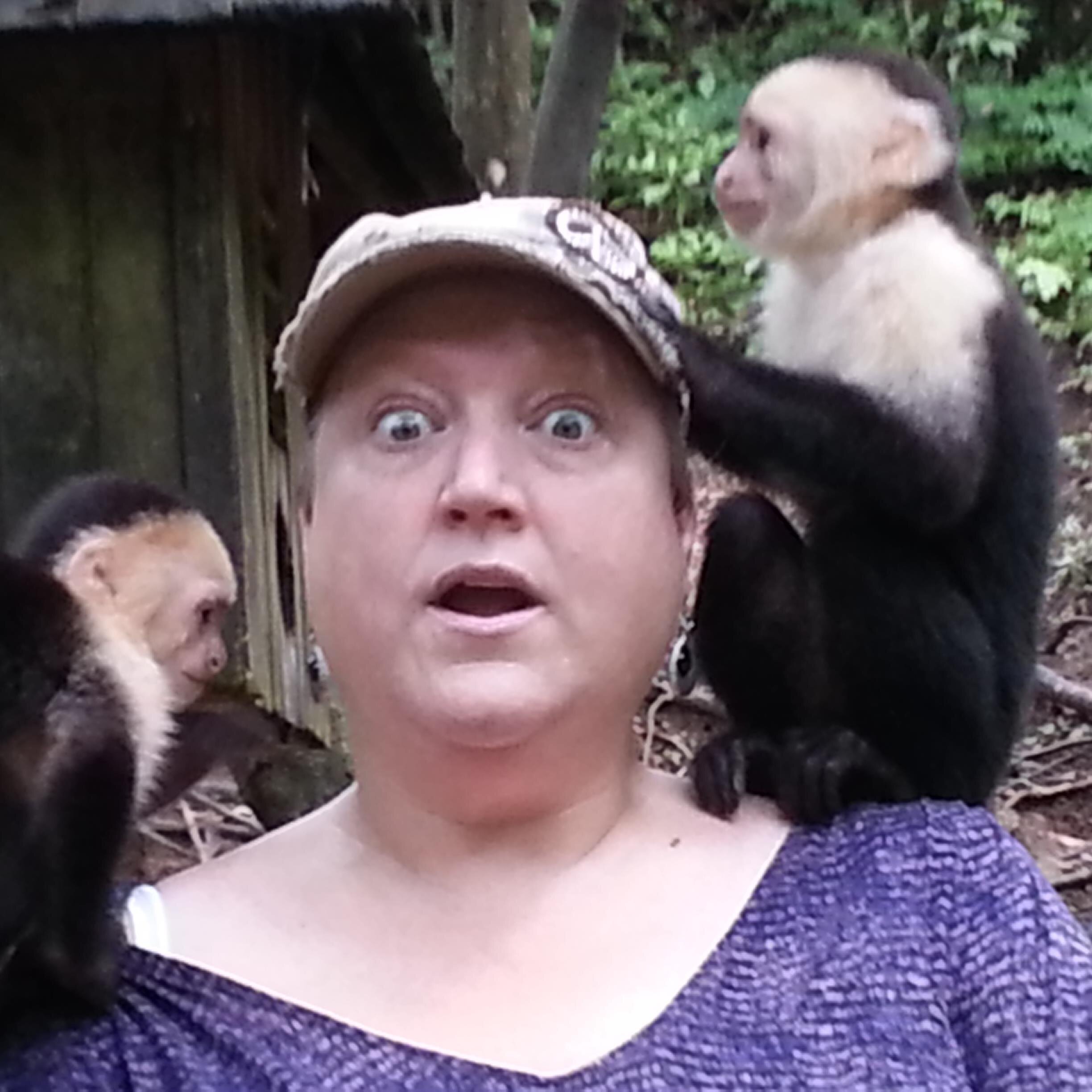 kelseytexas's profile picture. 