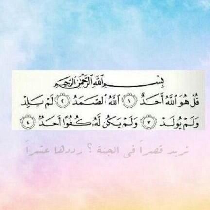 لاني احبها و احب الخير لها جعلت هذا الحساب صدقه جاريه لها ♡.