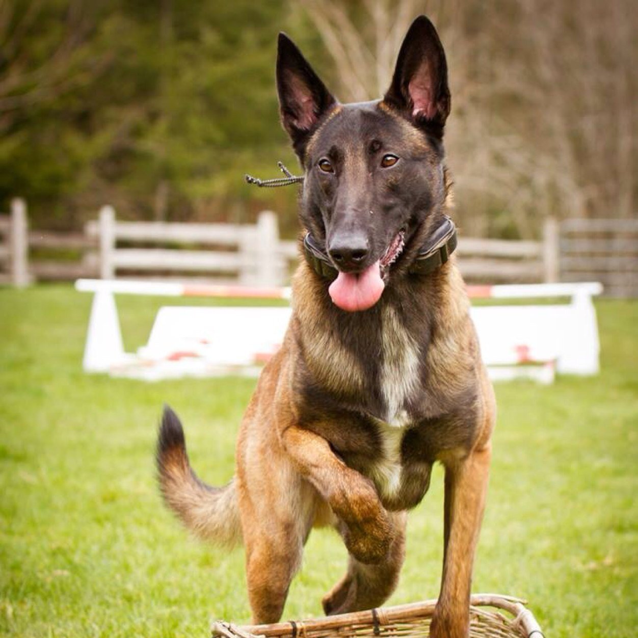 psdecoy_matt's profile picture. 