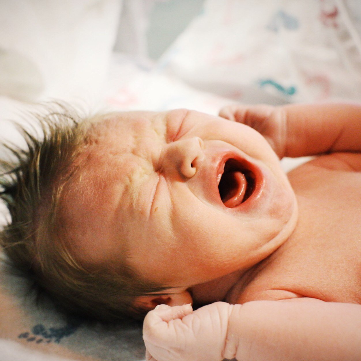 MiloSarver's profile picture. Made with ❤️ by @rsarver & @devon