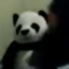 PandaDoWill's profile picture. To possuido mesmo idai