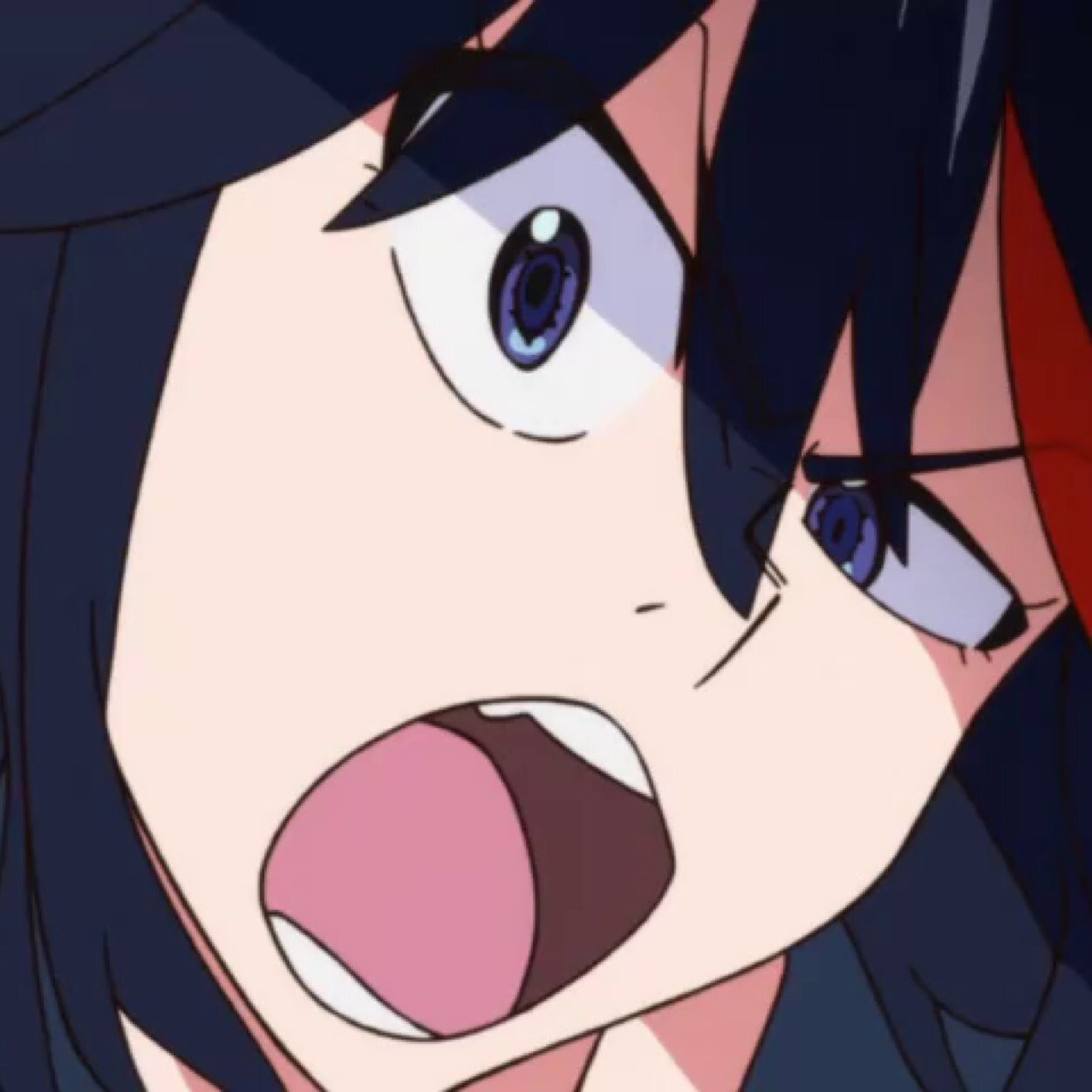 Senketsu and I will always persevere through thick and thin.