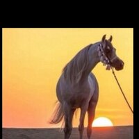 رتوووووويت (@rtweeeteee) 's Twitter Profile