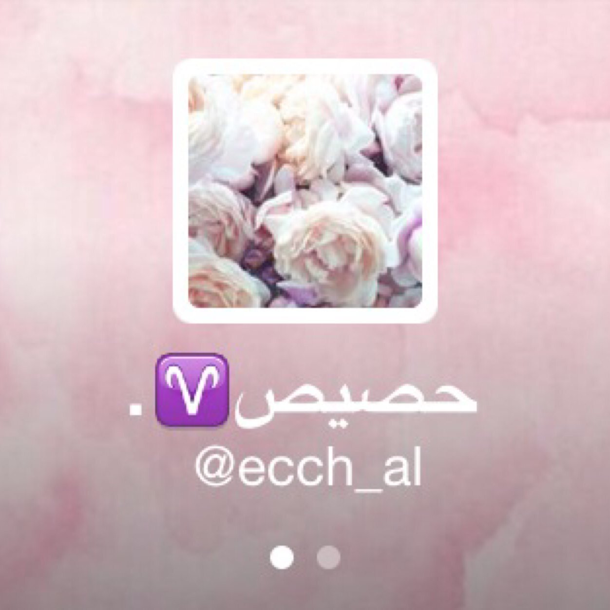 حصه الصرامي تقرين ؟ احبج✨❤️.