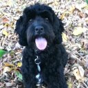 Daniel Rusch - @DanielRuschHP - Twitter