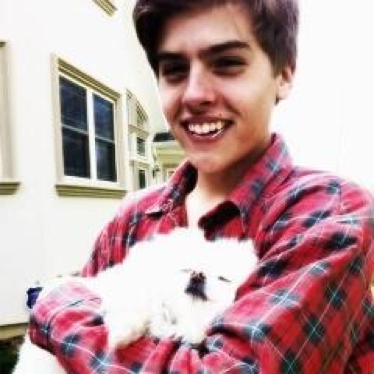 badhcbits's profile picture. child actor who didn't do meth.