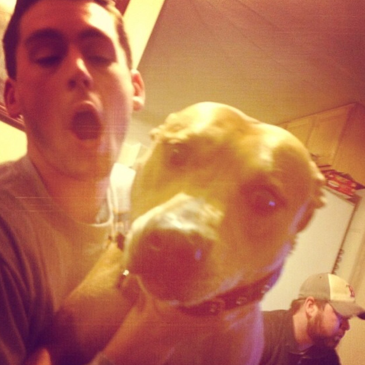 j19ellis's profile picture. Bitch better have my honey.