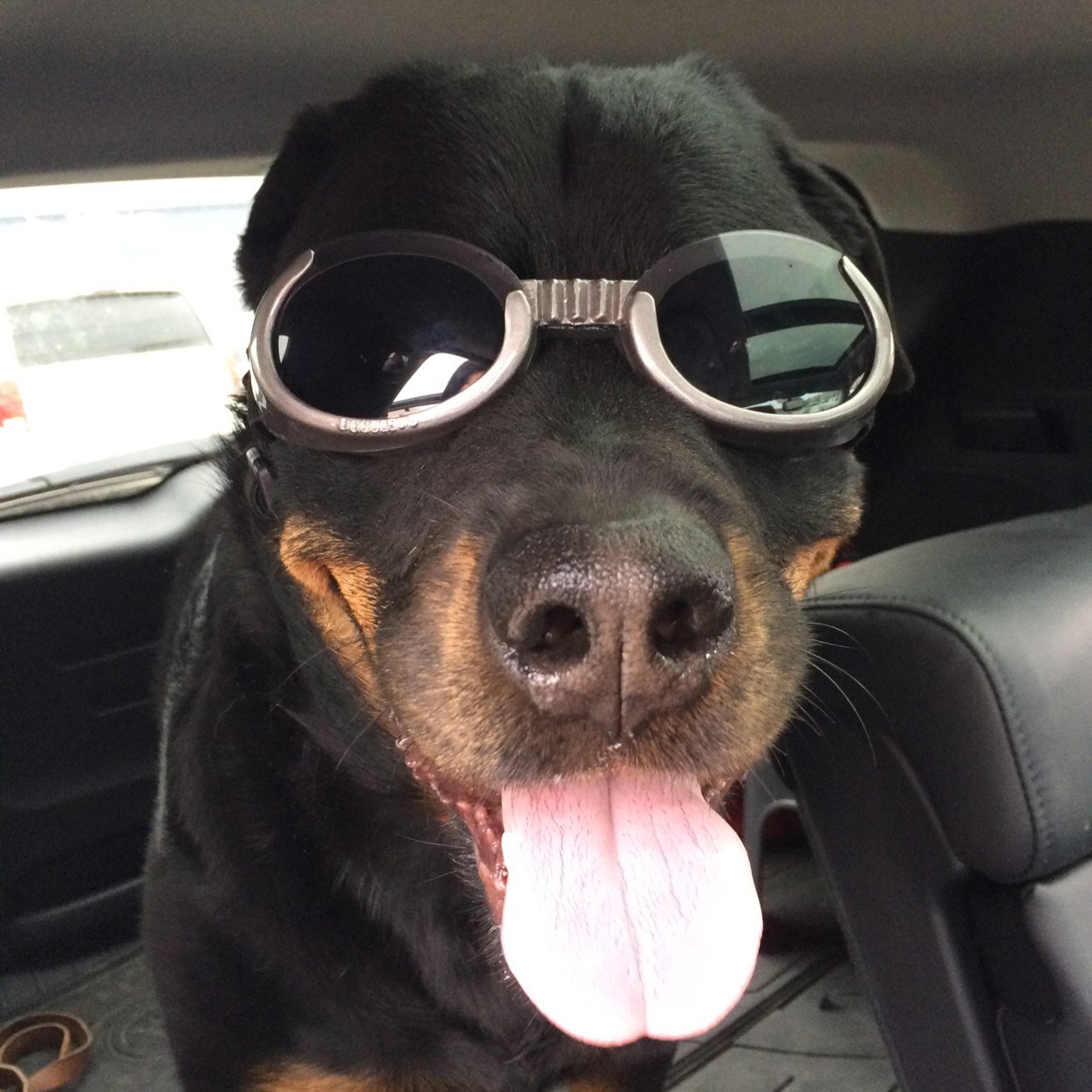 Emailkatrina's profile picture. Kindness is key☀️Pay attention to the “B" side…