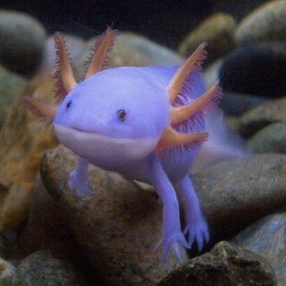 rorycon's profile picture. 