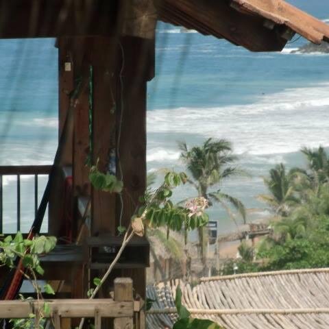 kdzipo's profile picture. Feldenkrais practitioner and administrator of La Loma Linda