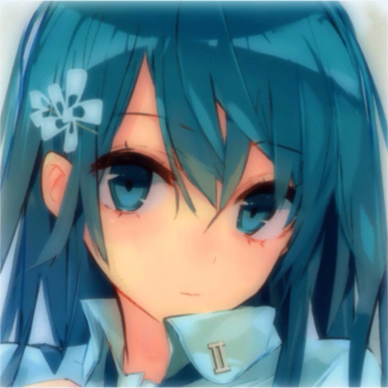 どーぞよろしく☻ 最近うさぎ回始めました♡きなこちゃんです( ´ ▽ ` )ﾉかわいいのよー♪