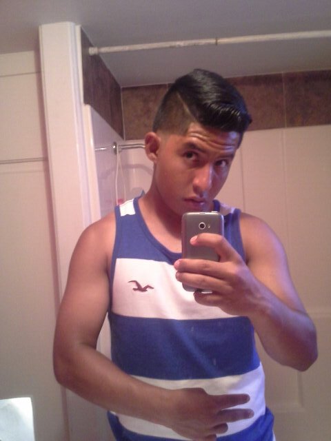 hollister model