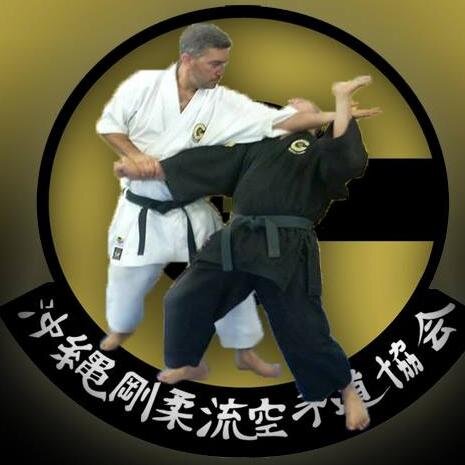 My Martial Arts journey began at 5 years old. I have taught martial arts in DR, FL, NY, TX, NJ & CT.