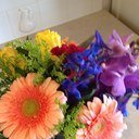 pamela melanson - @PamelaMelanson - Twitter