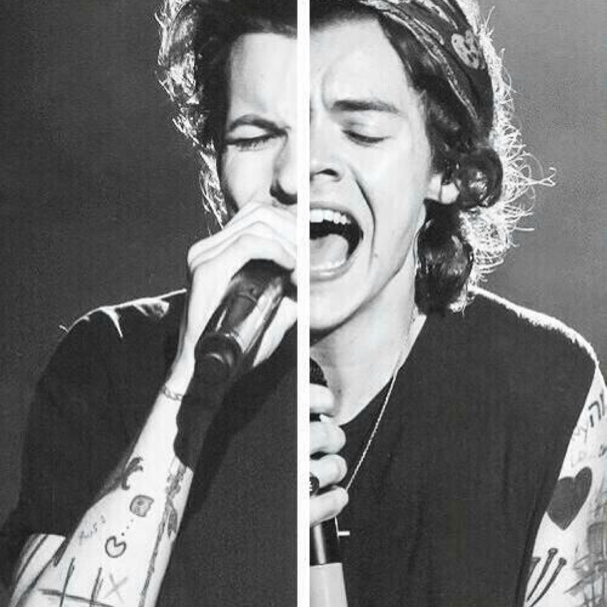 hi i'm @demonlouiss & i followed you bc we ship larry & thats pretty rad.