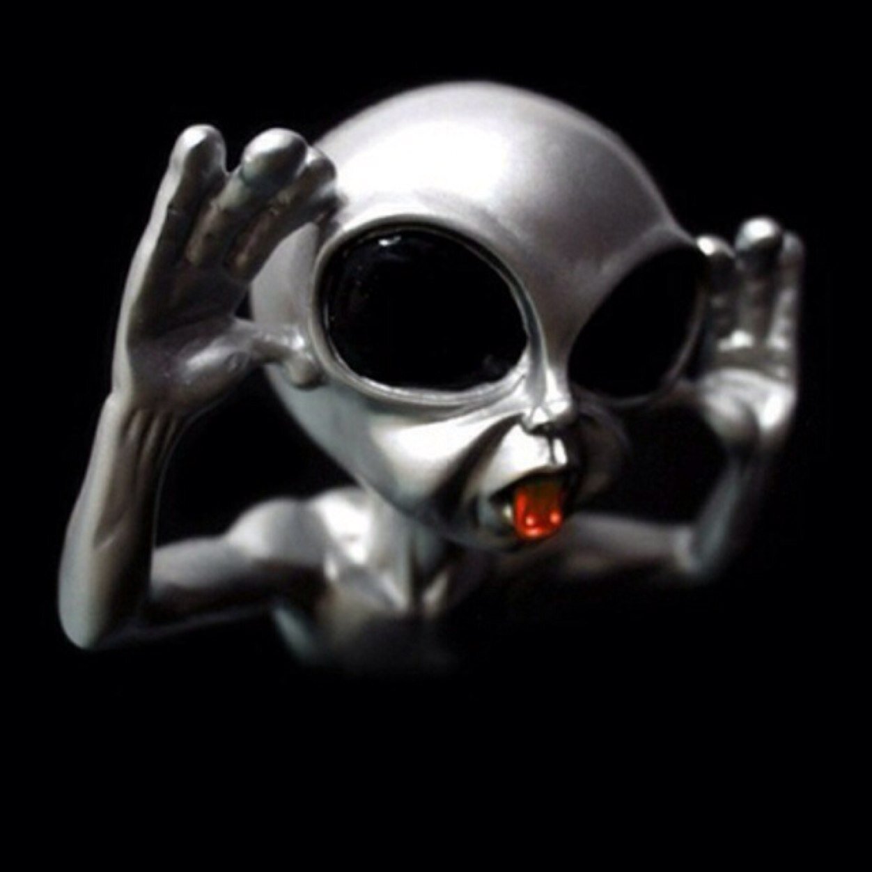 max_27acdc's profile picture. 