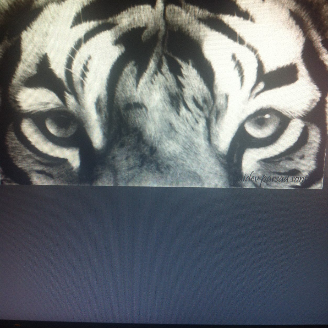 smmetcalfe's profile picture. 