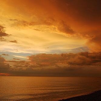 JaniceMart1n's profile picture. Food fanatic .  Beer fanatic ,   -  studies in # Amateur twitter maven