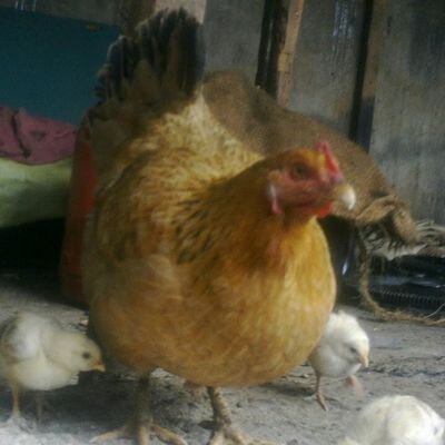 benways54's profile picture. 