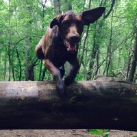 Adam Whiting (@whitingnd) 's Twitter Profile