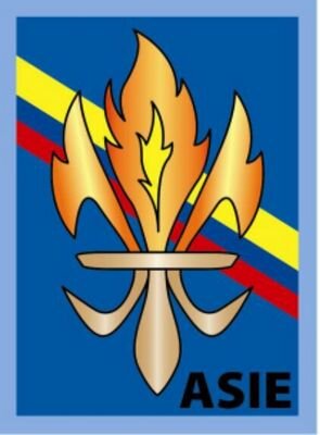 La Asociación de Scouts Independientes 'Lord Baden Powell de Gilwell', tiene vida jurídica desde el 21 de Enero de 2004,