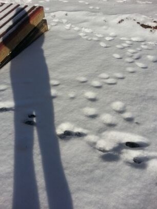 hoodybear's profile picture. ♡ this planet