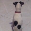 rene gerardo arroyo - @ArroyoRene - Twitter