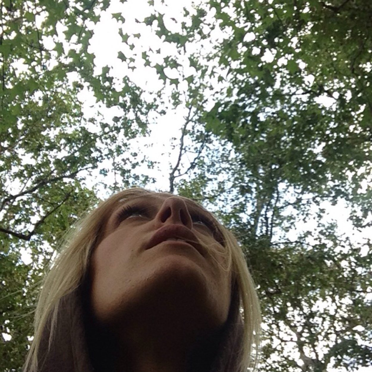 susudownini's profile picture. 