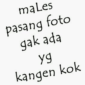 bobow26's profile picture. 