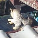 いろんなことをメモ_φ(･_･