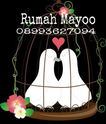 edha_mayoo Profile Picture