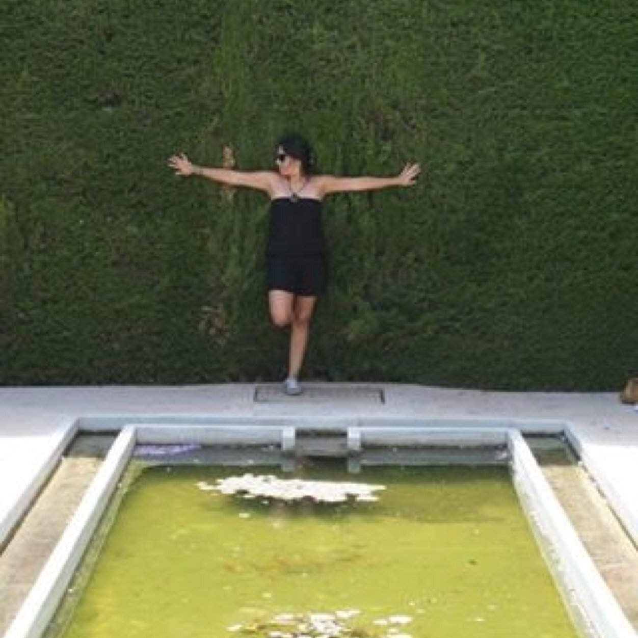 BazaesDonoso's profile picture. 