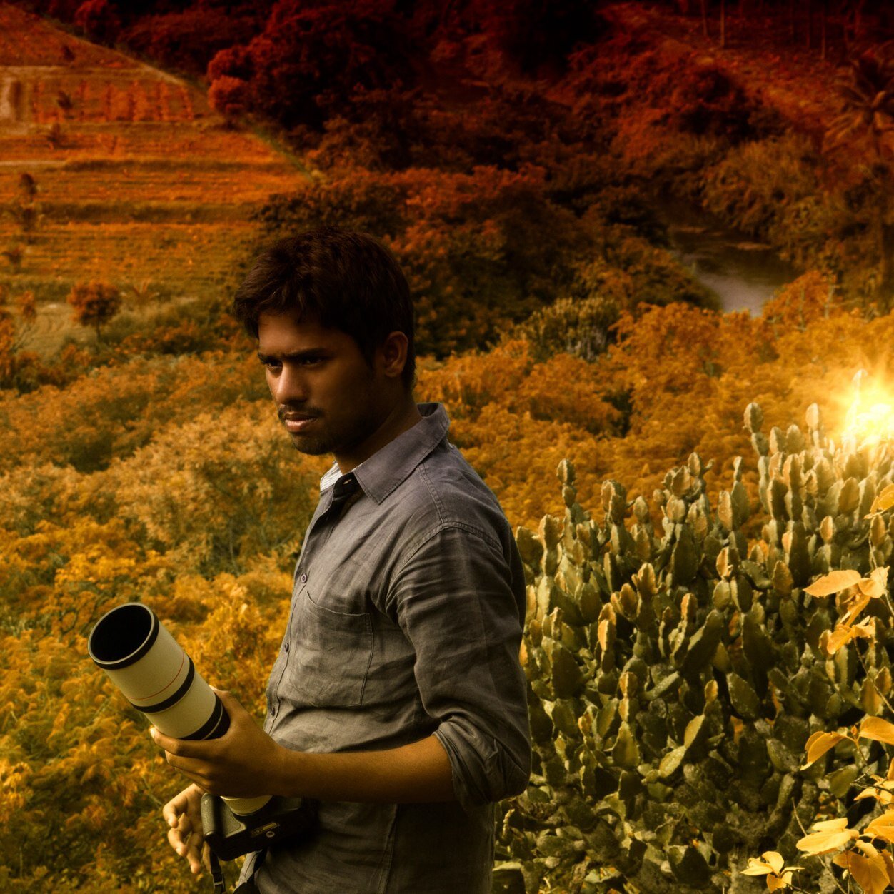 Editor/cinematographer/photographer