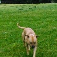 Carolyn27682962's profile picture. i wish i never ever meet you