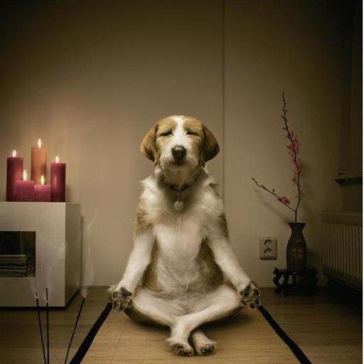 The trick is not minding.