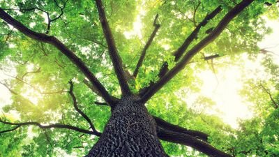 都内大学15卒生です。就活中に体験談ブログを始め、4月に就活を終えてから今でもたまに更新しています。就活生の励みになったらとても嬉しいです。就活生でもそうでない方でも気軽にフォローしてください！！