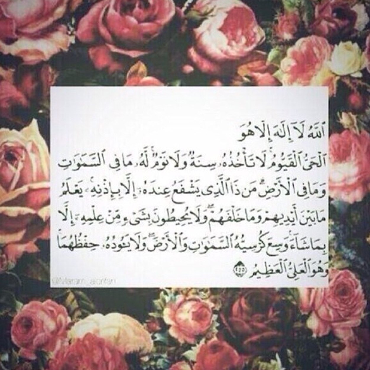لا إله الا الله وحده لا شريك له له الملك وله الحمد وهو على كل شيء قدير.