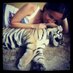 Cristina Baitg (@cristina_baitg) Twitter profile photo